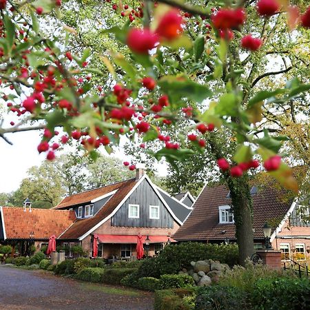 Het Ros Van Twente De Lutte Exteriér fotografie