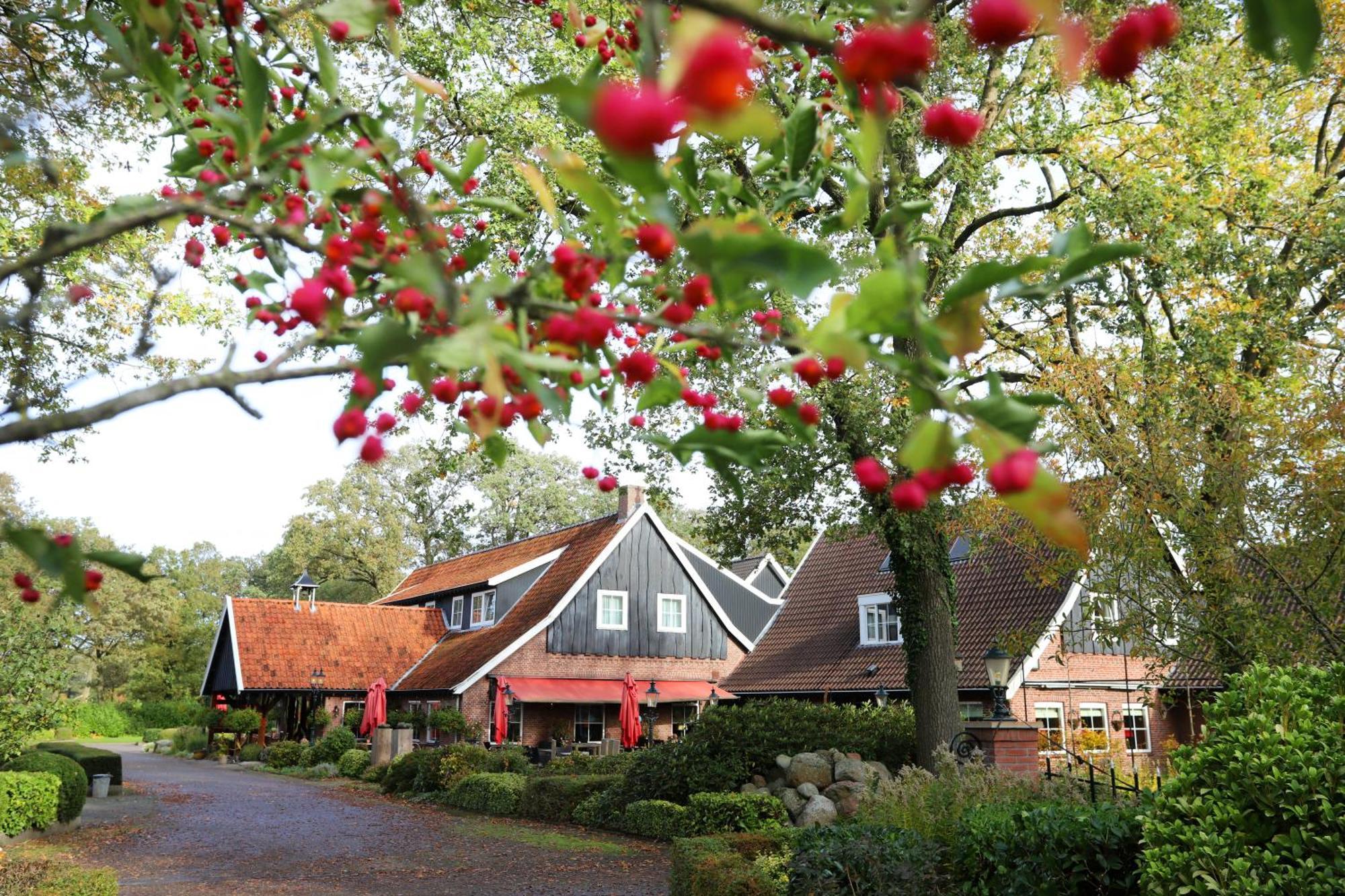 Het Ros Van Twente De Lutte Exteriér fotografie